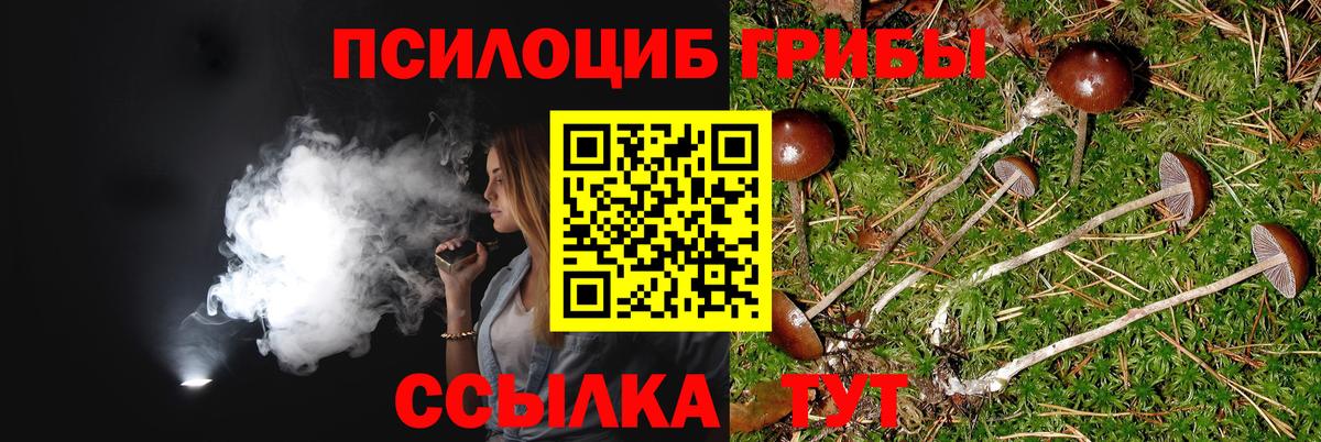 Ялта  Галлюциногенные грибы Magic Shrooms  Вход с VPN  Псилоцибиновые грибы мицелий 